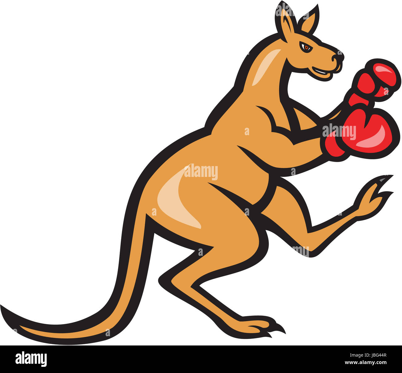Illustration d'un coup de pied de kangourou boxe boxer avec des gants de  boxe vu de côté sur fond isolé fait en style cartoon Photo Stock - Alamy