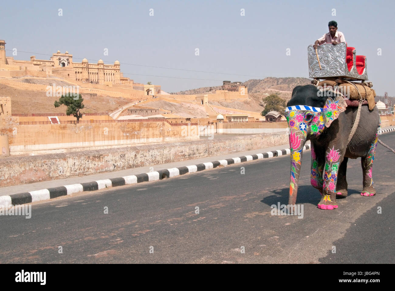 Décorées avec éléphant tête et du tronc marchant le long de la route à Fort Amber à la périphérie de Jaipur au Rajasthan, Inde. Banque D'Images