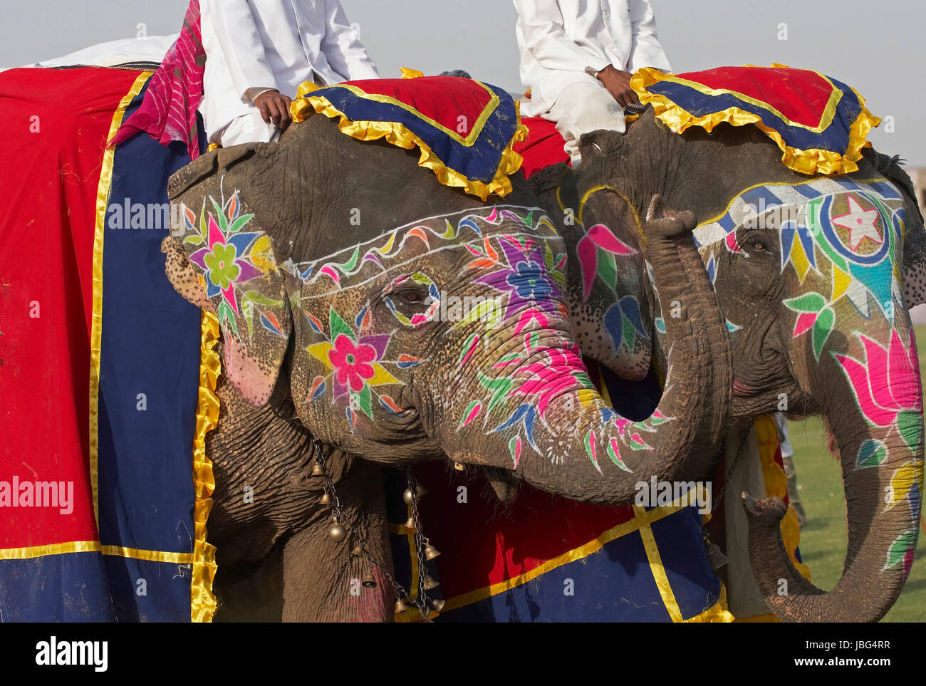 Les éléphants décorés à l'assemblée annuelle du festival de l'éléphant à Jaipur, Rajasthan, Inde. Banque D'Images