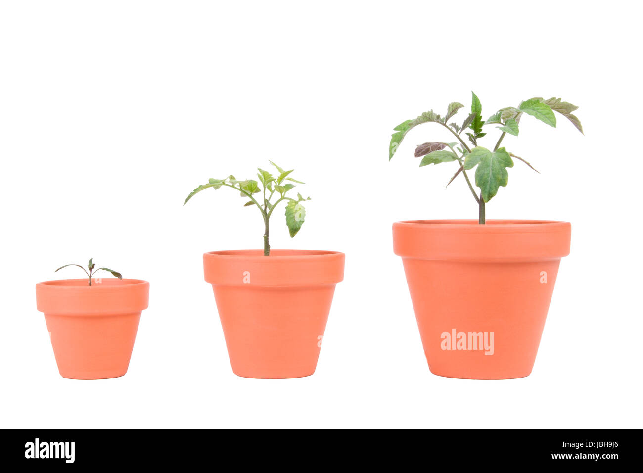 Elho Soucoupe Pour Jardiniere Green Basics 100 - Terre Cuite Doux Xxl Exterieur O 89 7 X H 5 7 Cm 66d1ccee3635601ffe81c635