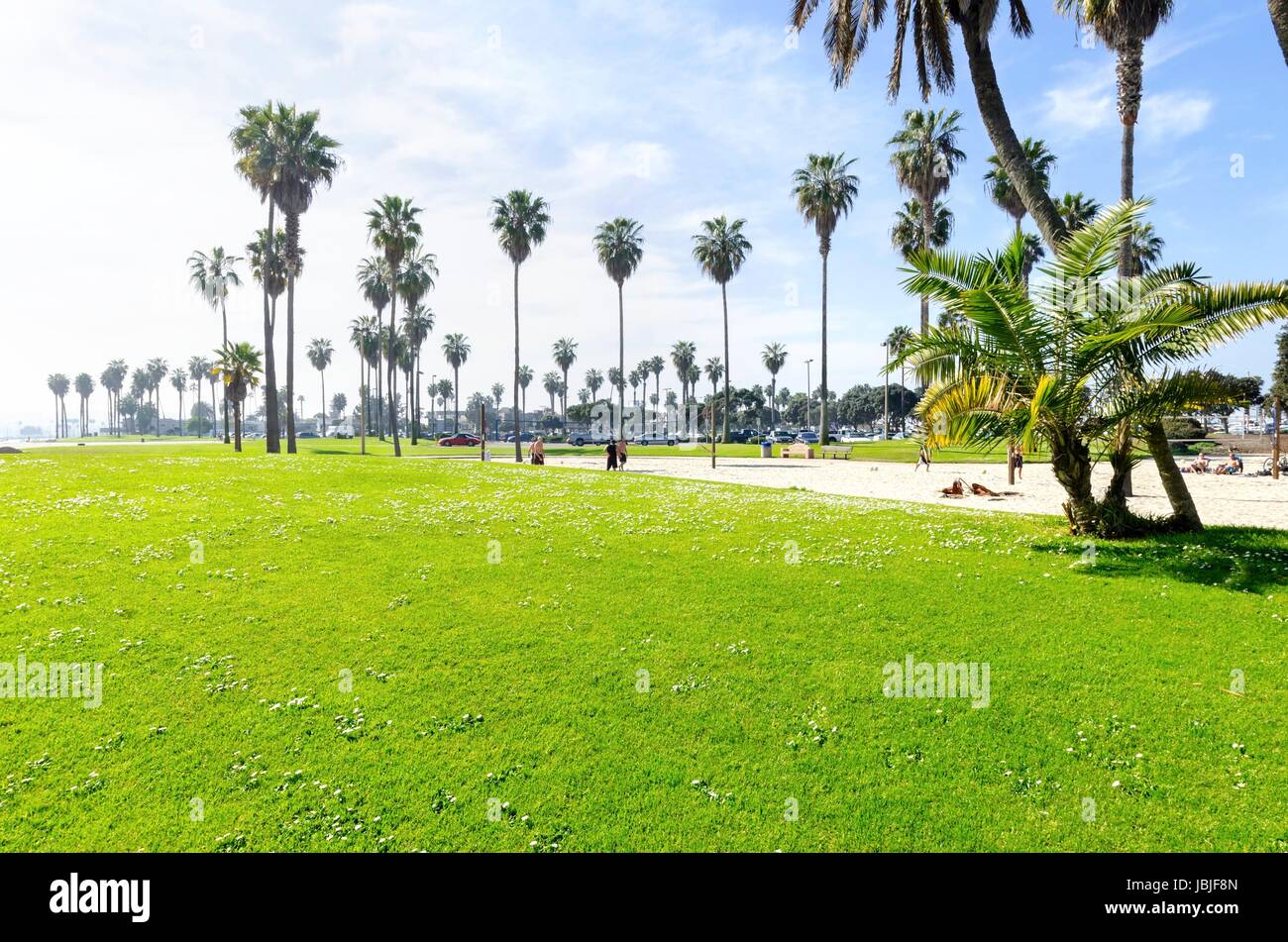 La Bonita cove park dans le sud de Mission Bay sur la plage du Pacifique à San Diego, Californie aux États-Unis d'Amérique. Une vue de la plage de sable doré, de palmiers, de volley-ball et un ciel clair. Banque D'Images