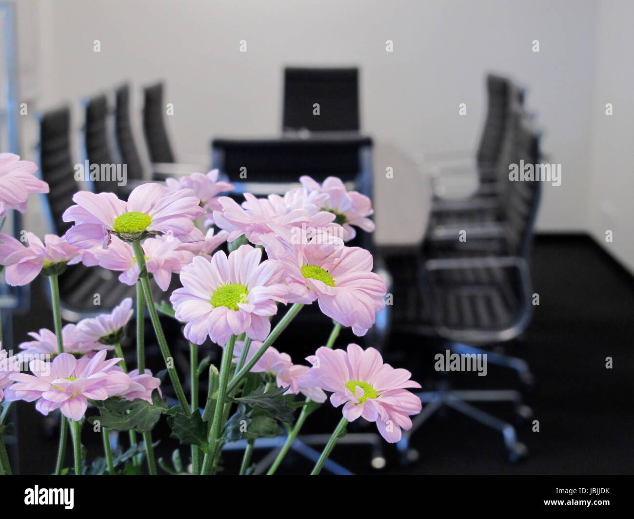 Fleur rose avec soft focus board room, salle de réunion d'information d'arrière-plan flou Banque D'Images