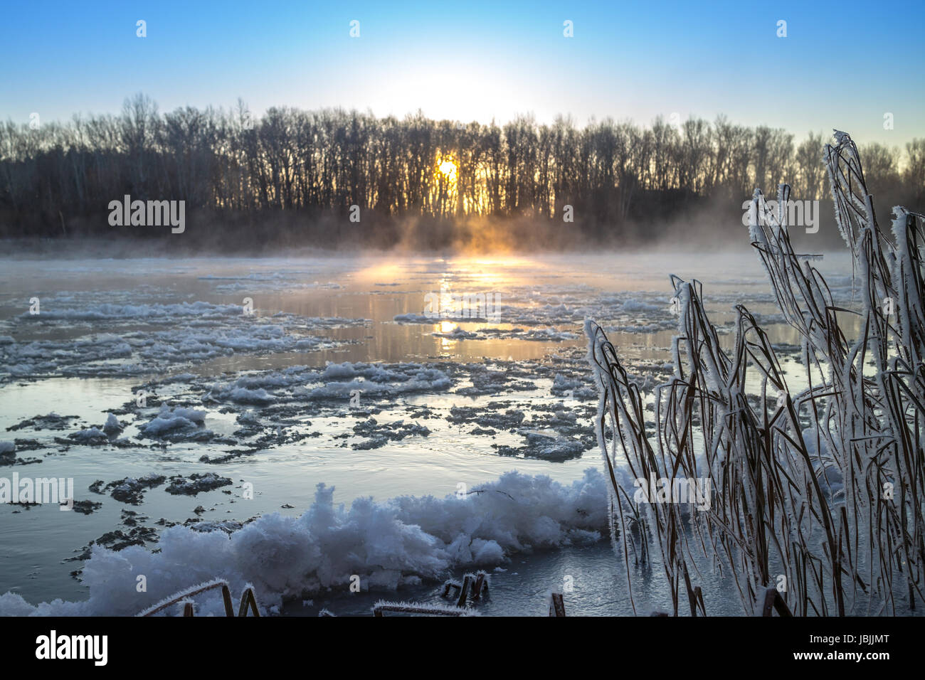 Couverts par les usines de givre blanc sur les rives de la rivière de brouillard et gel Banque D'Images