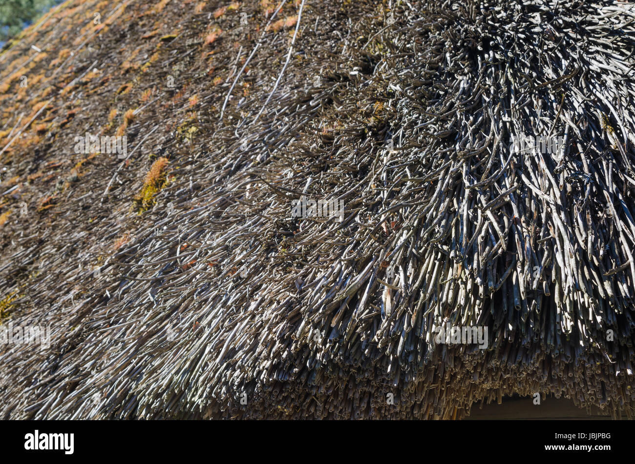 Le toit couvert de paille, close-up Banque D'Images