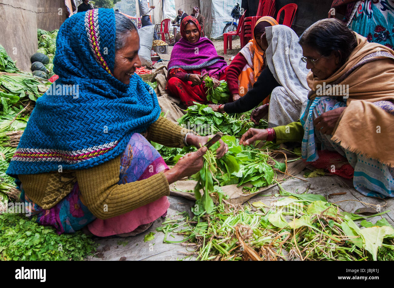 KOLKATA, INDE - Le 12 janvier 2014 : les femmes rurales indiennes légumes coupe Babughat au camp de transit. Chaque année fidèles de toute l'Inde visites Gangasagar pour echelle sainte et séjours Babughat en transit. Banque D'Images