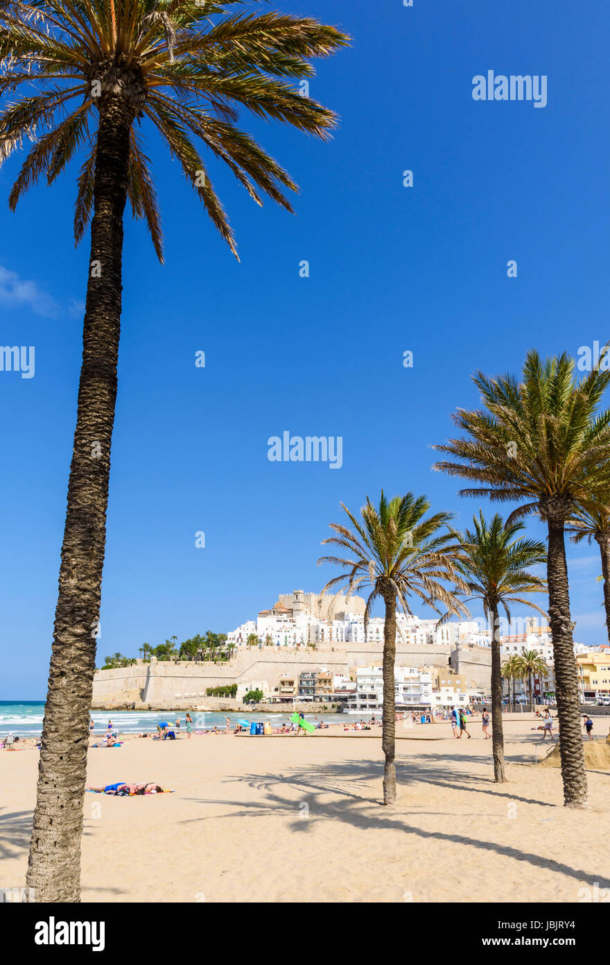 Palmiers sur la plage Playa Norte surplombé par le Château de Papa Luna et de la vieille ville, Madrid, Espagne Banque D'Images