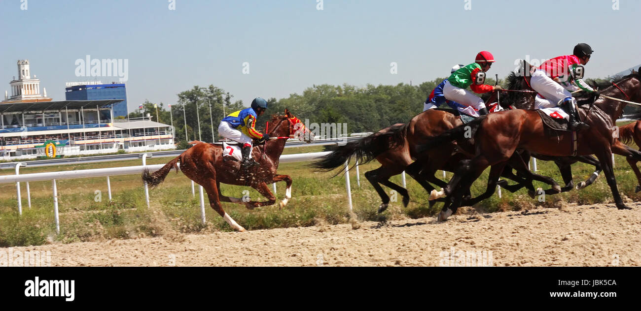 Piatigorsk, Russie - le 29 août : La course pour le prix du '' Gel Karachai;le jockey Tertichni Saitgaleev,Guseinov et.29 Août 2010 dans Pyatigor ; Banque D'Images