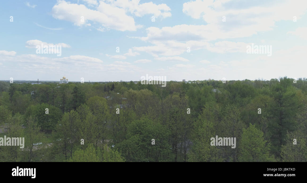 Vue aérienne de plus de rues de la ville de Pouchkine, Tsarskoïe Selo en journée d'été Banque D'Images