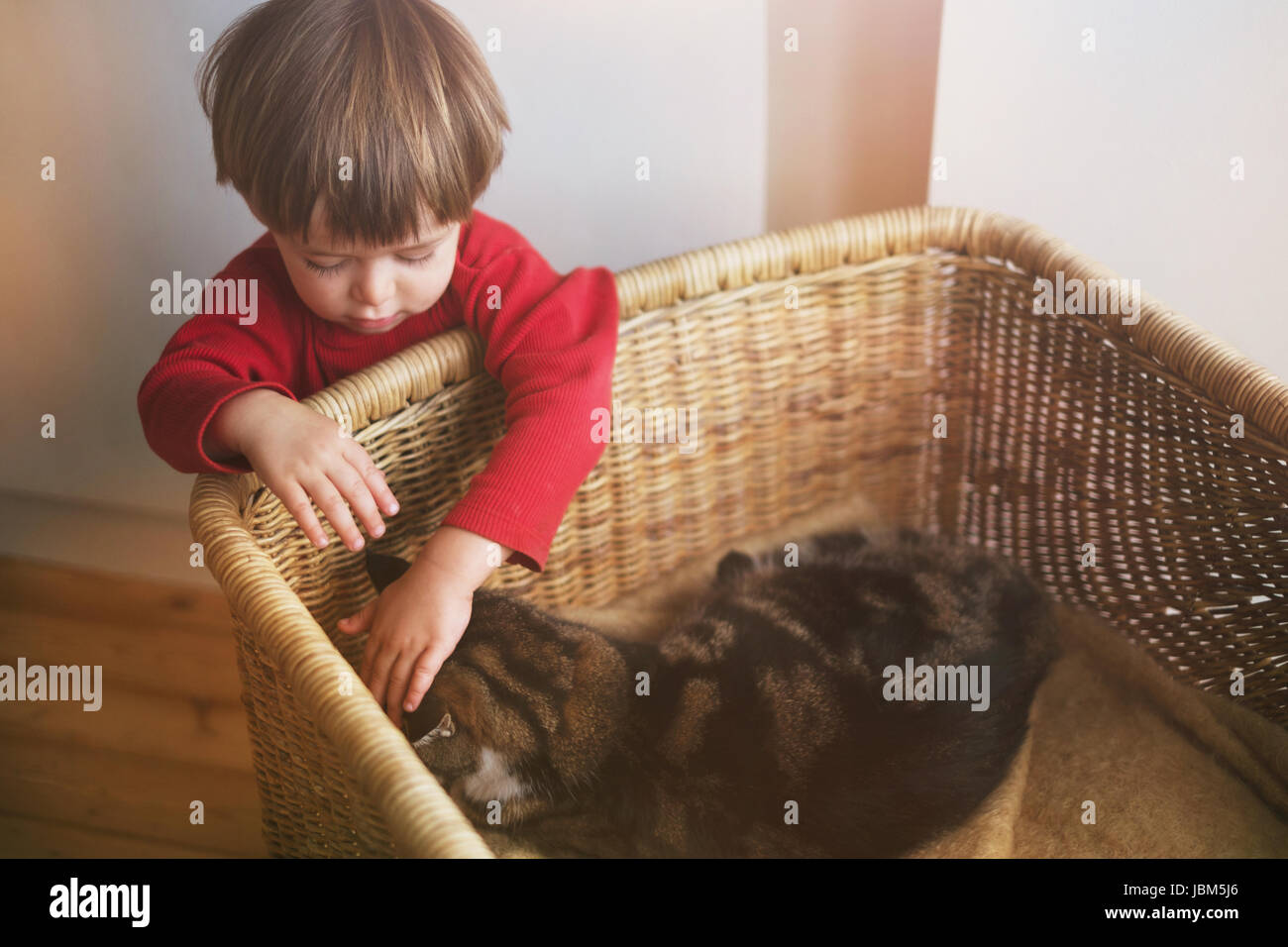 Boy petting cat in basket Banque D'Images