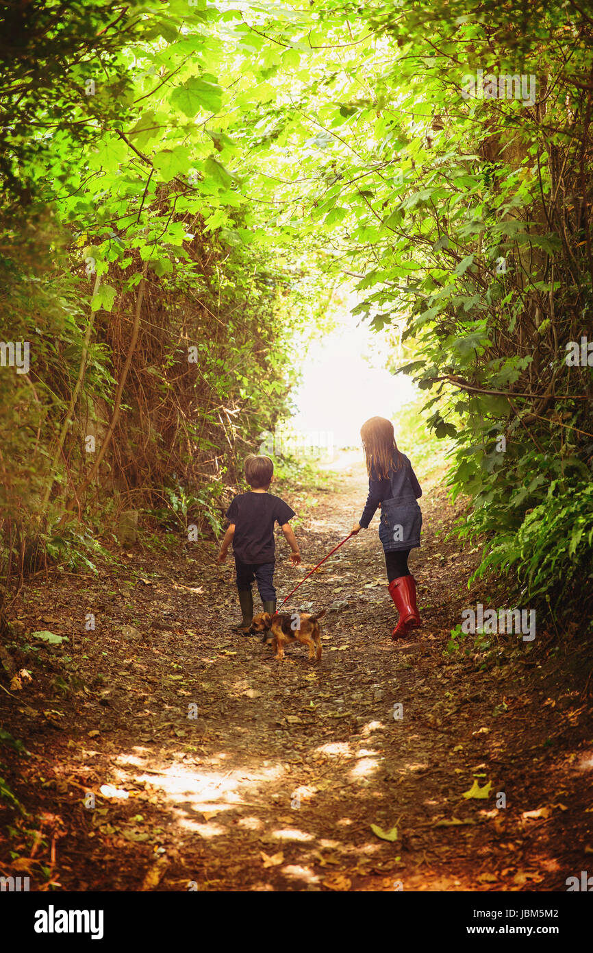 Garçon et fille frère et soeur puppy dog marche sur chemin bordé d'arbres Banque D'Images