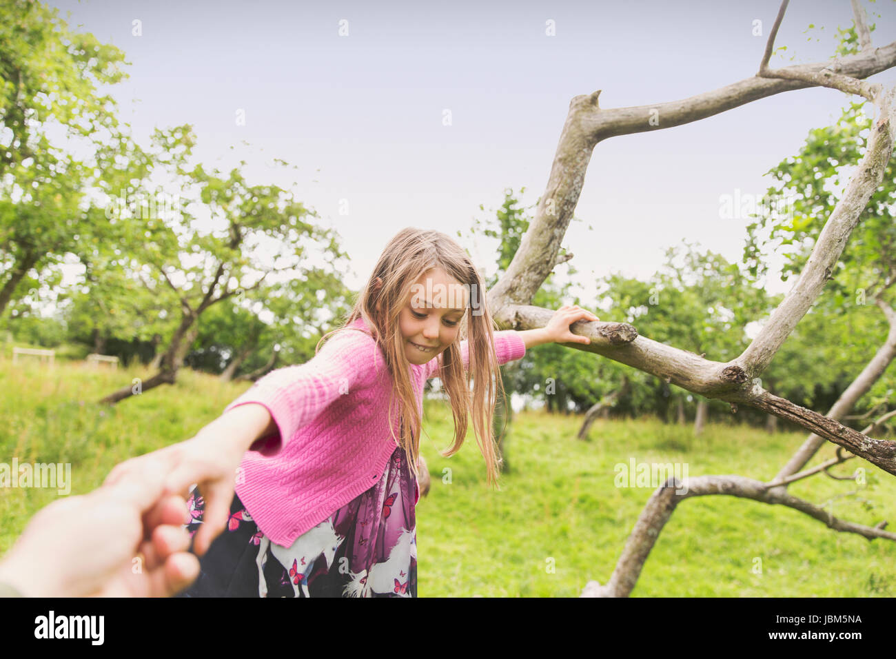 Girl climbing tree Banque D'Images