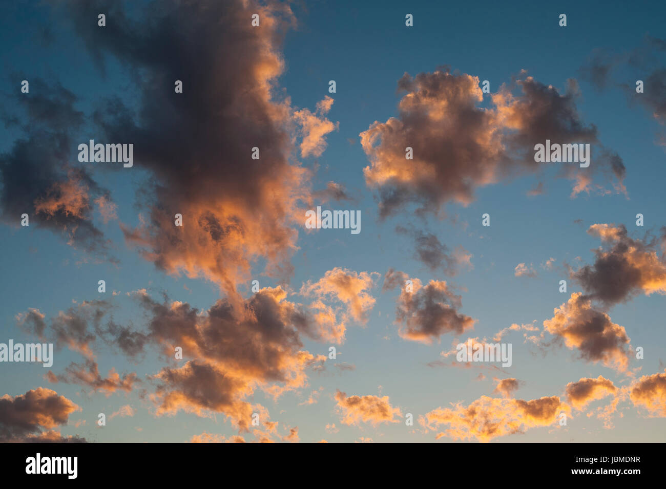 Cumulus fractus nuages avec ciel bleu, beau temps, les nuages au coucher du soleil Banque D'Images