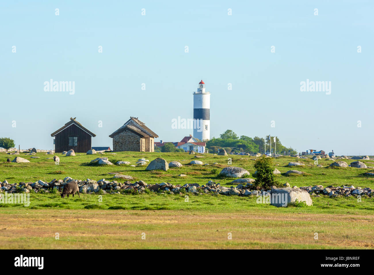 Ottenby, Suède - Mai 27, 2017 : l'environnement documentaire. La pointe sud de l'Oland, avec le phare de Long 1moutons paissant en premier plan. C Banque D'Images