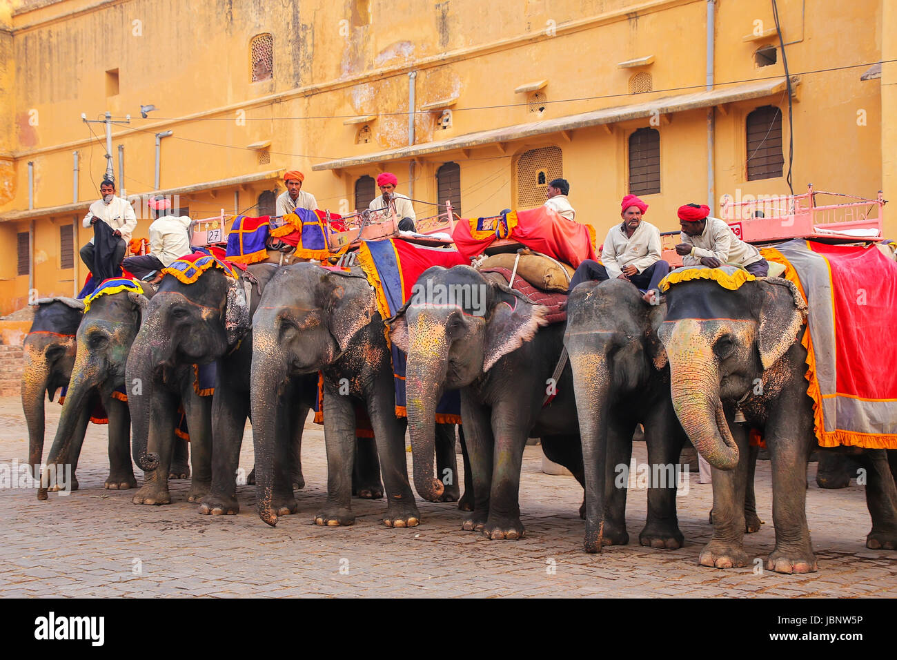 Les éléphants décorés attendent les touristes près de Fort Amber au Rajasthan, Inde. Des promenades en éléphant sont attraction touristique populaire à Fort Amber. Banque D'Images