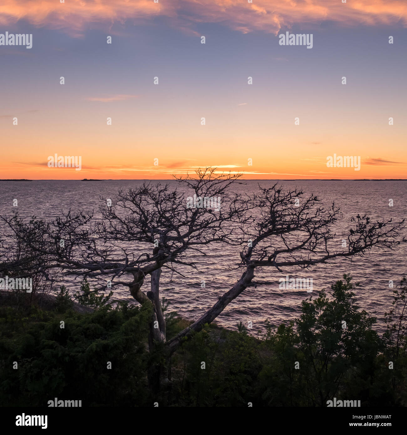 Paysage avec vue sur la mer et le coucher du soir d'été en Finlande Banque D'Images Paysage avec vue sur la mer et le coucher du soir d'été en Finlande Banque D'Images