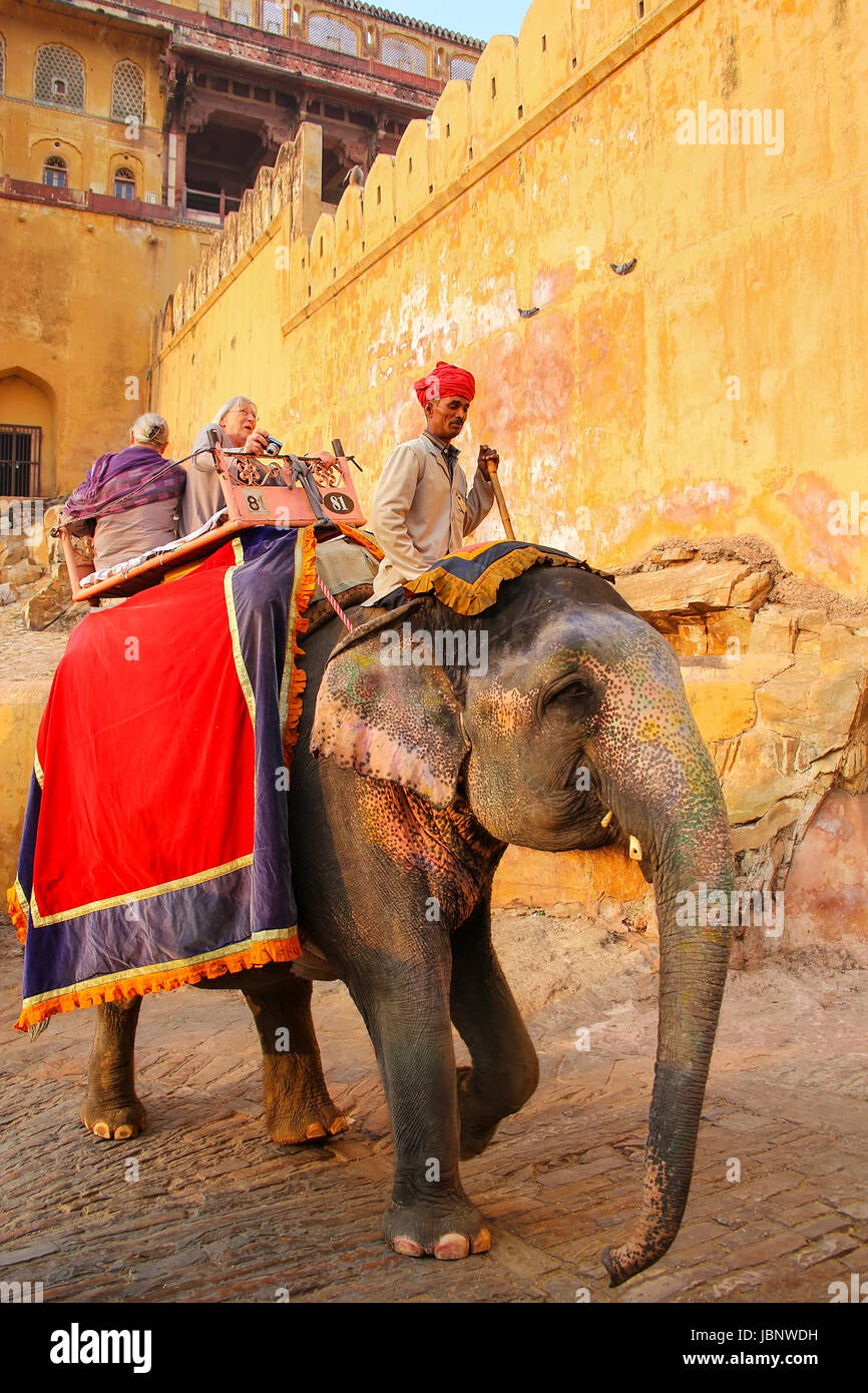 Décorées avec des touristes de l'éléphant passe le chemin pavé à Fort Amber près de Jaipur, Rajasthan, Inde. Des promenades en éléphant sont populaires'attirer Banque D'Images