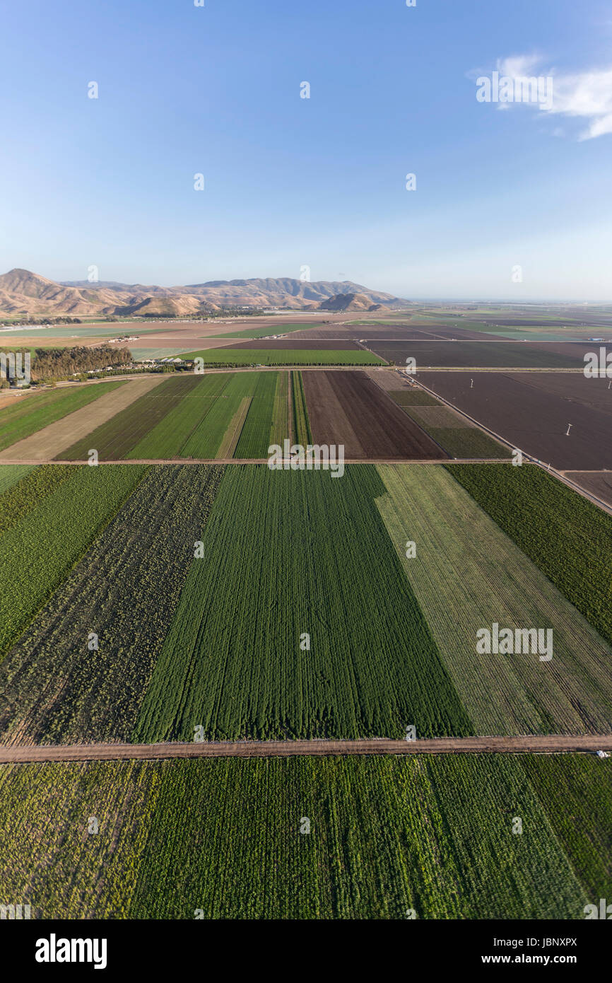 Vue aérienne des terres agricoles près de Camarillo dans le comté de Ventura, en Californie. Banque D'Images