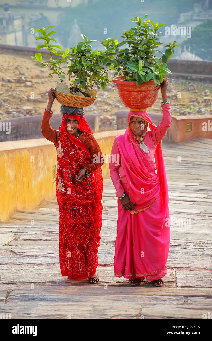 Les femmes portant des pots avec des plantes sur leur têtes à Fort Amber, Rajasthan, Inde. Fort Amber est la principale attraction touristique dans la région de Jaipur. Banque D'Images
