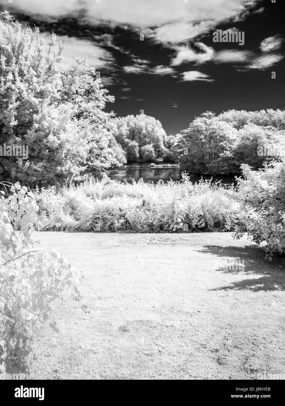 Une image monochrome d'un jardin et d'un petit lac en été. Banque D'Images