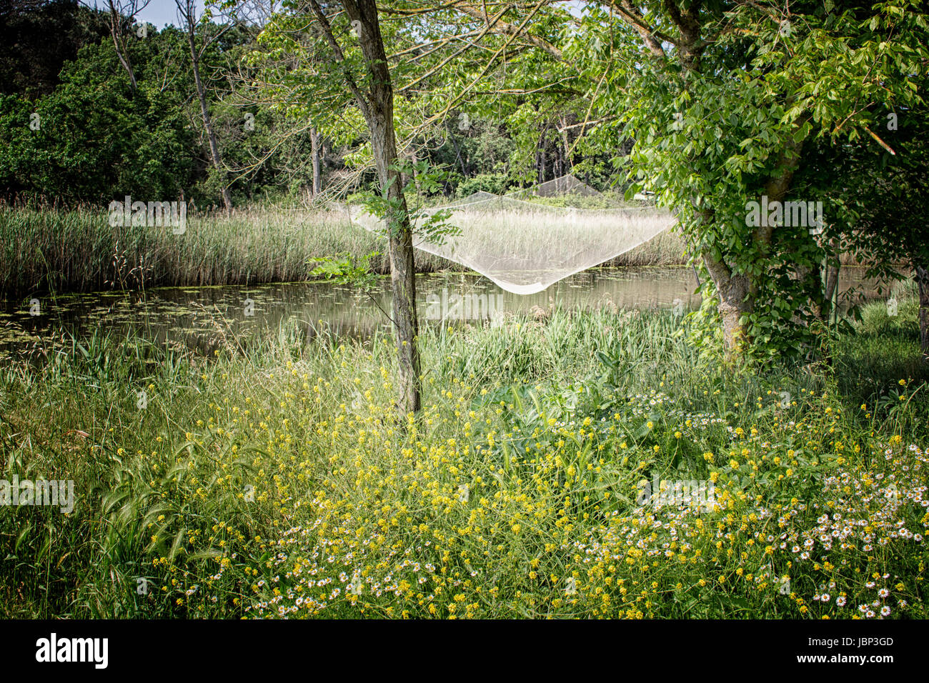 Pêche à la cabane sur la Pialassa Baiona près de lagune saumâtre della Marina Romea le long de la mer Adriatique te à Ravenne (Italie) Banque D'Images