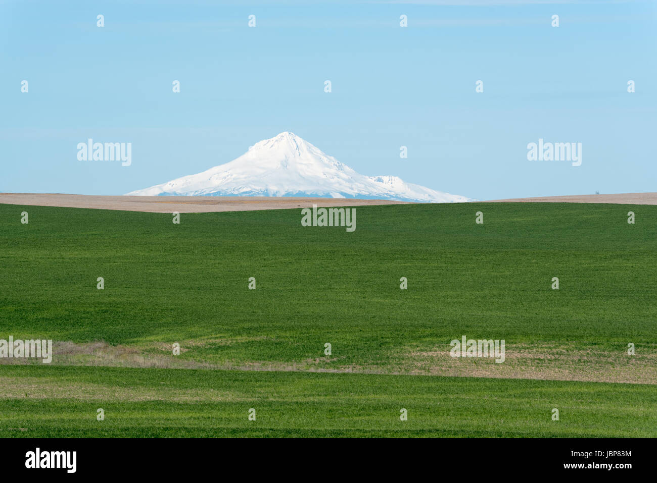 Mt. Au-dessus d'une imminente du capot en wheatfield Sherman Comté (Oregon). Banque D'Images