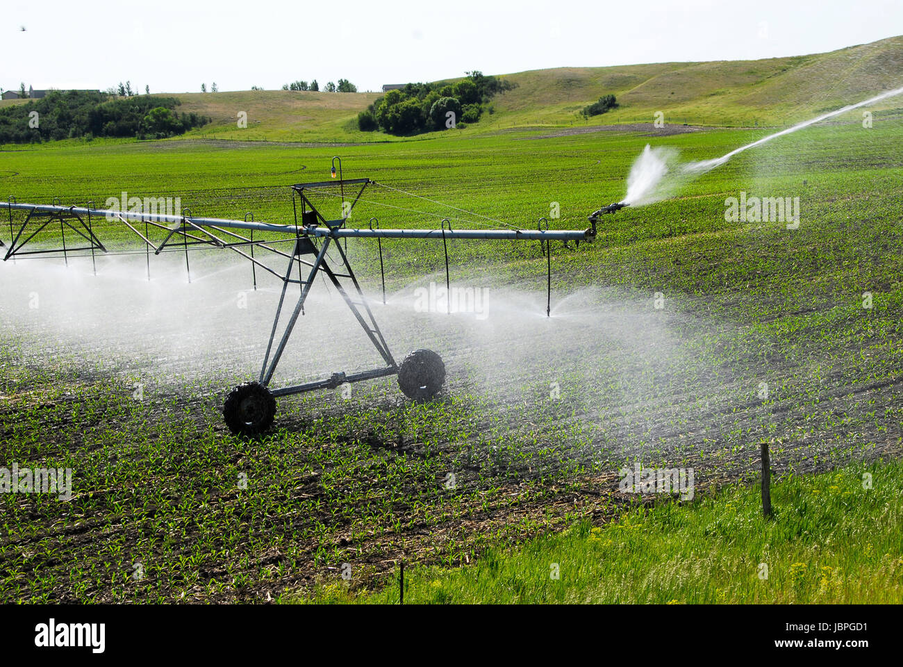 Système d'irrigation à pivot central l'arrosage des cultures.au Dakota du Nord. Banque D'Images
