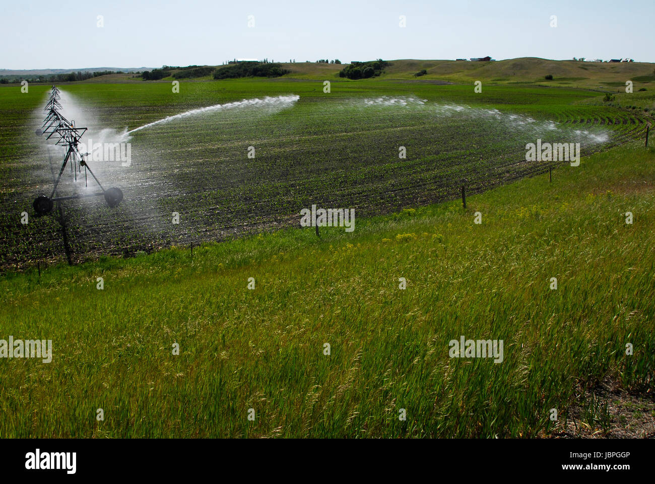 Système d'irrigation à pivot central l'arrosage des cultures.au Dakota du Nord. Banque D'Images