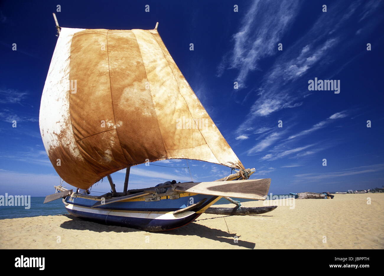 Traditionnelle Segel Fischerboote im westen Negombo bei der Insel im Indischen Ozean Sri Lanka. Banque D'Images