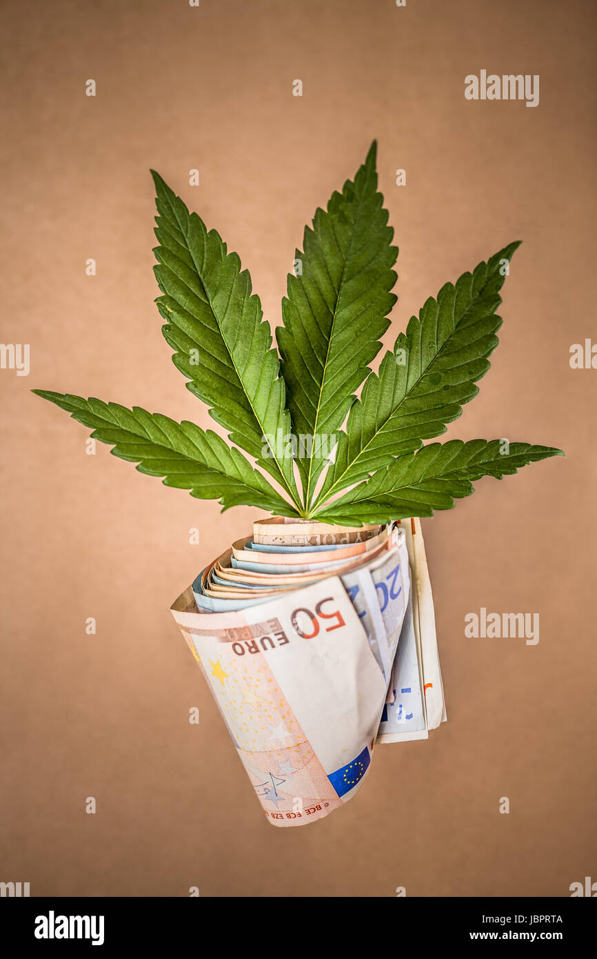 Concept d'entreprise de la marijuana. Feuille de Cannabis et des billets en euros. Banque D'Images