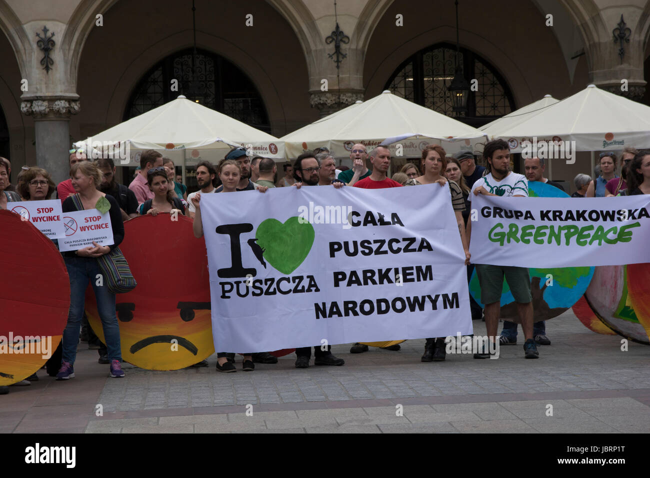 Cracovie, Pologne. Jun 12, 2017. Protestation contre l'exploitation forestière à grande échelle dans la forêt de Bialowieza, un site du patrimoine naturel mondial de l'Unesco à Cracovie en Pologne le 12 juin 2017.Le ministre de l'environnement Jan Szyszko estime que l'abattage des arbres aidera à prévenir la propagation du dendroctone de l'Épinette européenne, tandis que les scientifiques, les écologistes et les Polonais ont peur de dégrader les habitats de nombreuses espèces animales et de perdre leur patrimoine national. Iwona Crédit : Fijoł/Alamy Live News Banque D'Images