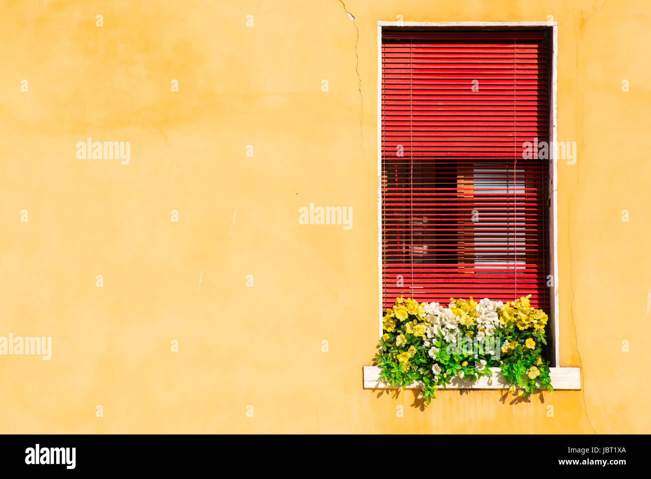 Fenêtre vénitienne avec des fleurs jaunes. Oragne mur couleur Banque D'Images