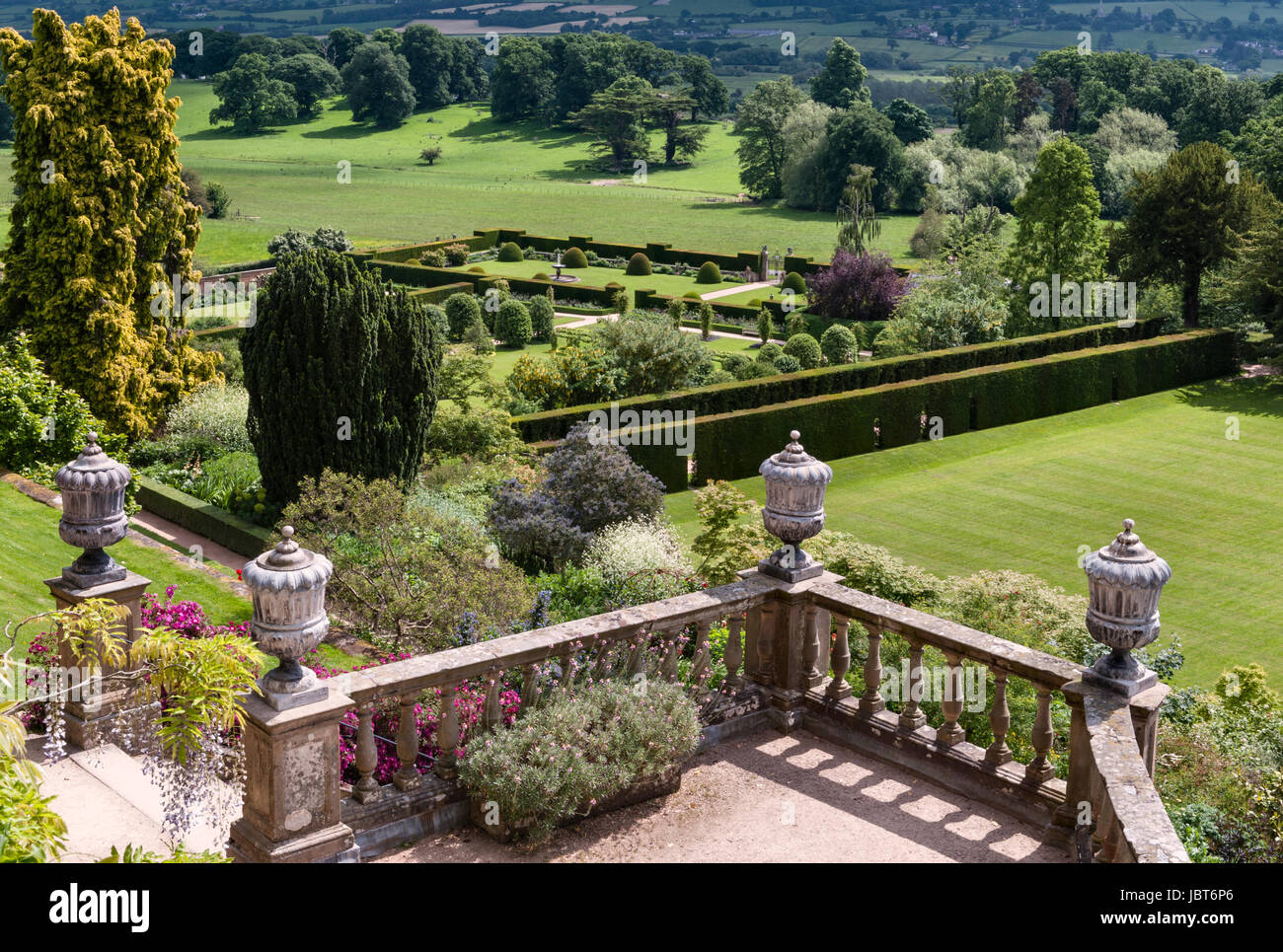 Jardins du Château de Powis, Welshpool, Pays de Galles, Royaume-Uni. Cette 17c jardin baroque est célèbre pour ses énormes topiaires antique des ifs et des haies Banque D'Images