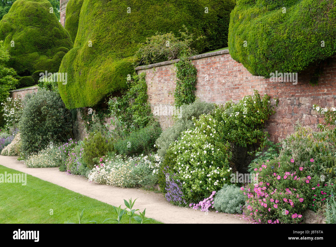Jardins du Château de Powis, Welshpool, Pays de Galles, Royaume-Uni. Cette 17c jardin baroque est célèbre pour ses énormes topiaires antique des ifs et des haies Banque D'Images