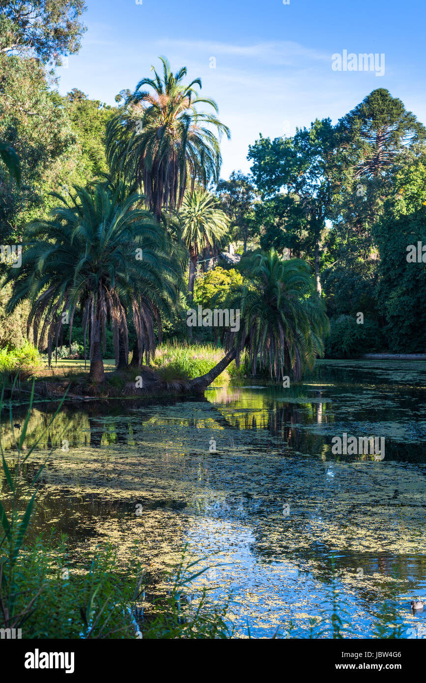 Royal Botanic Gardens de Melbourne, Victoria, Australie. Banque D'Images