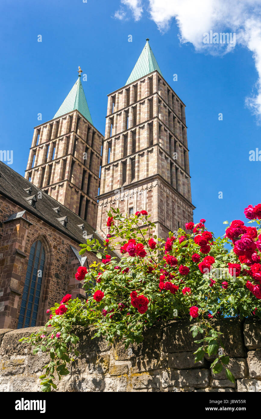 La floraison des roses rouges sur le mur de l'église St Martin, Kassel, Hesse, Allemagne Banque D'Images