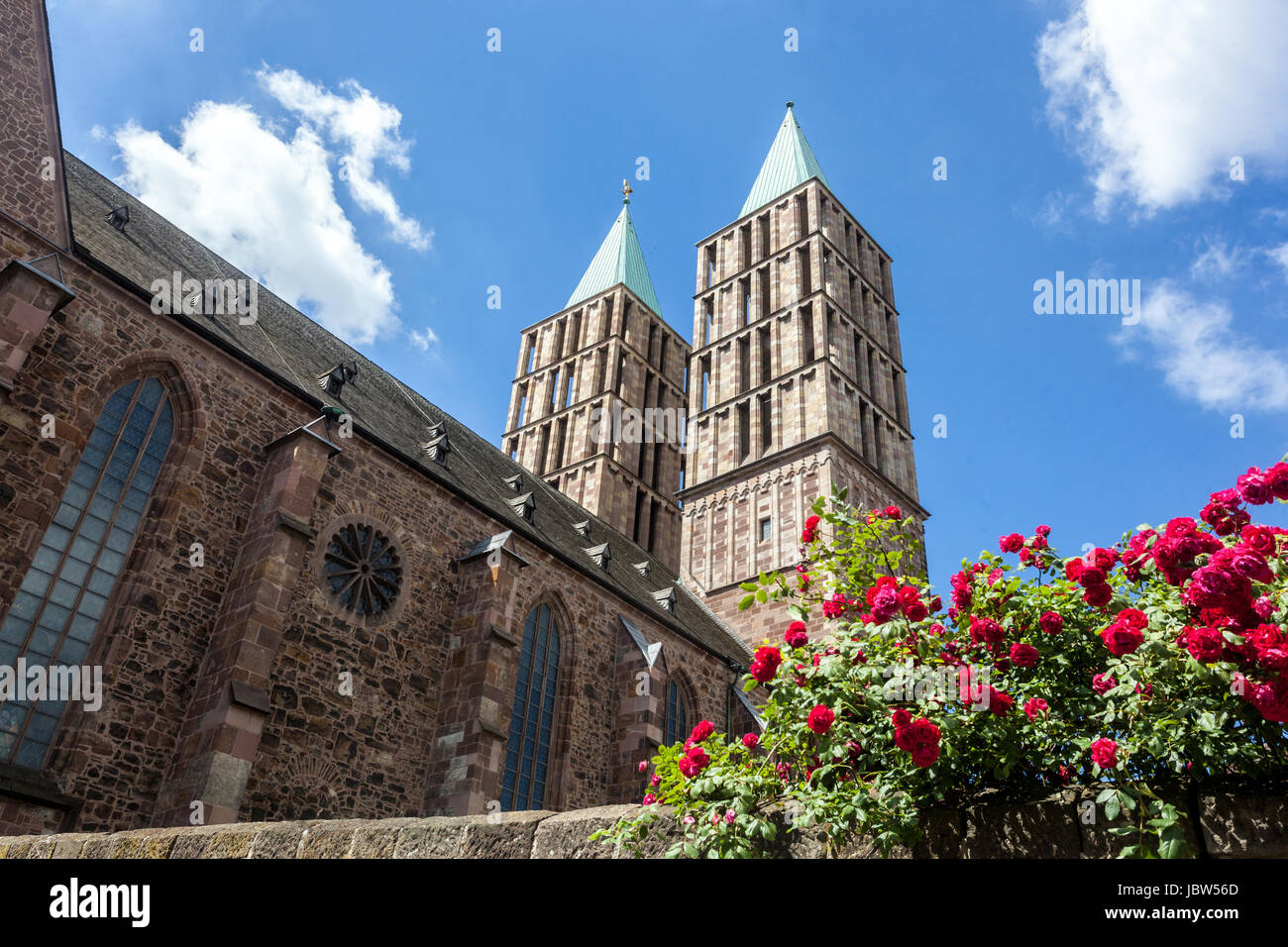 La floraison des roses rouges sur le mur de l'église St Martin, Kassel, Hesse, Allemagne Banque D'Images