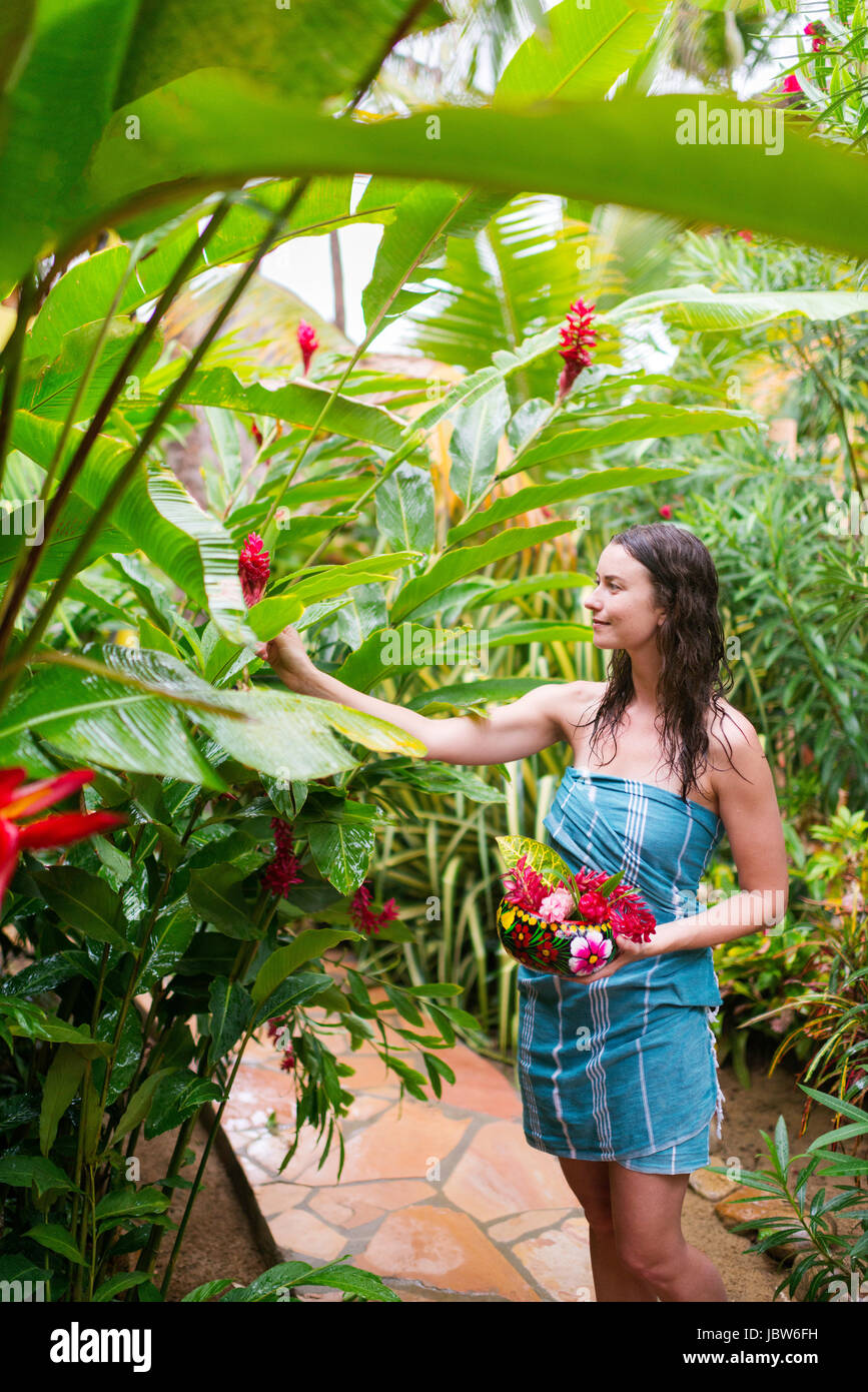 Woman picking des fleurs fraîches d'arbre, Puerto Escondido, Oaxaca, Mexique Banque D'Images