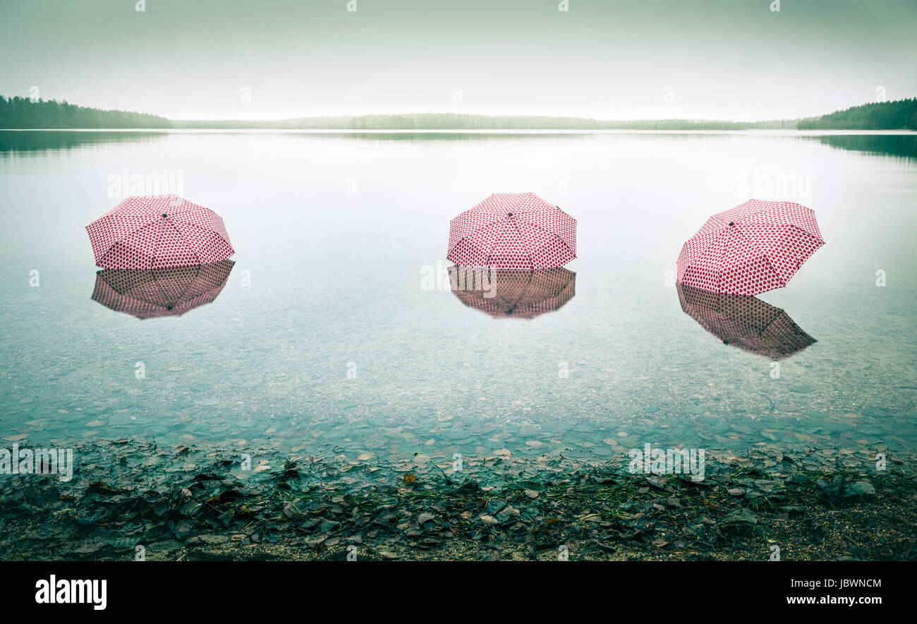 Pinky arbre parapluies dans le paysage du lac. Cette image décrit le réchauffement climatique. Banque D'Images