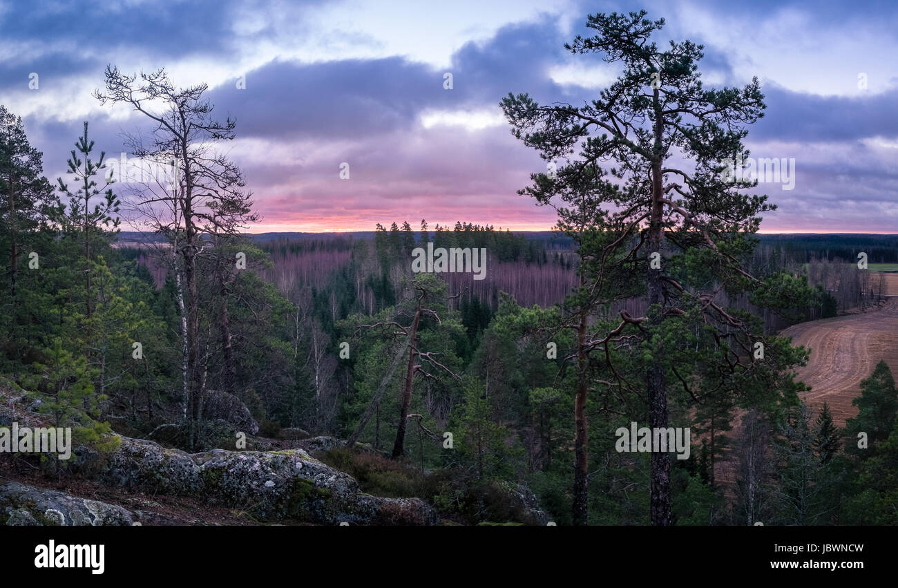 Paysage panoramique avec lever du soleil en haut de la colline en Finlande Banque D'Images
