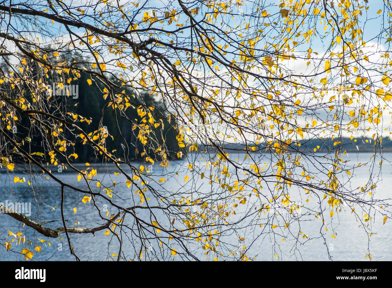 Feuille d'automne avec le lac et le paysage contexte lors de journée d'automne Banque D'Images