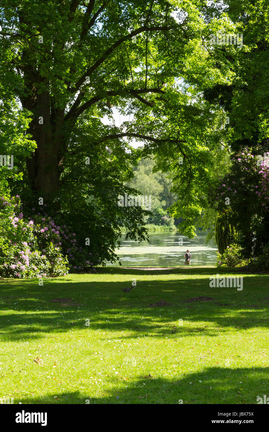 Clumber Park à Worksop dans Nottinghamshire Banque D'Images