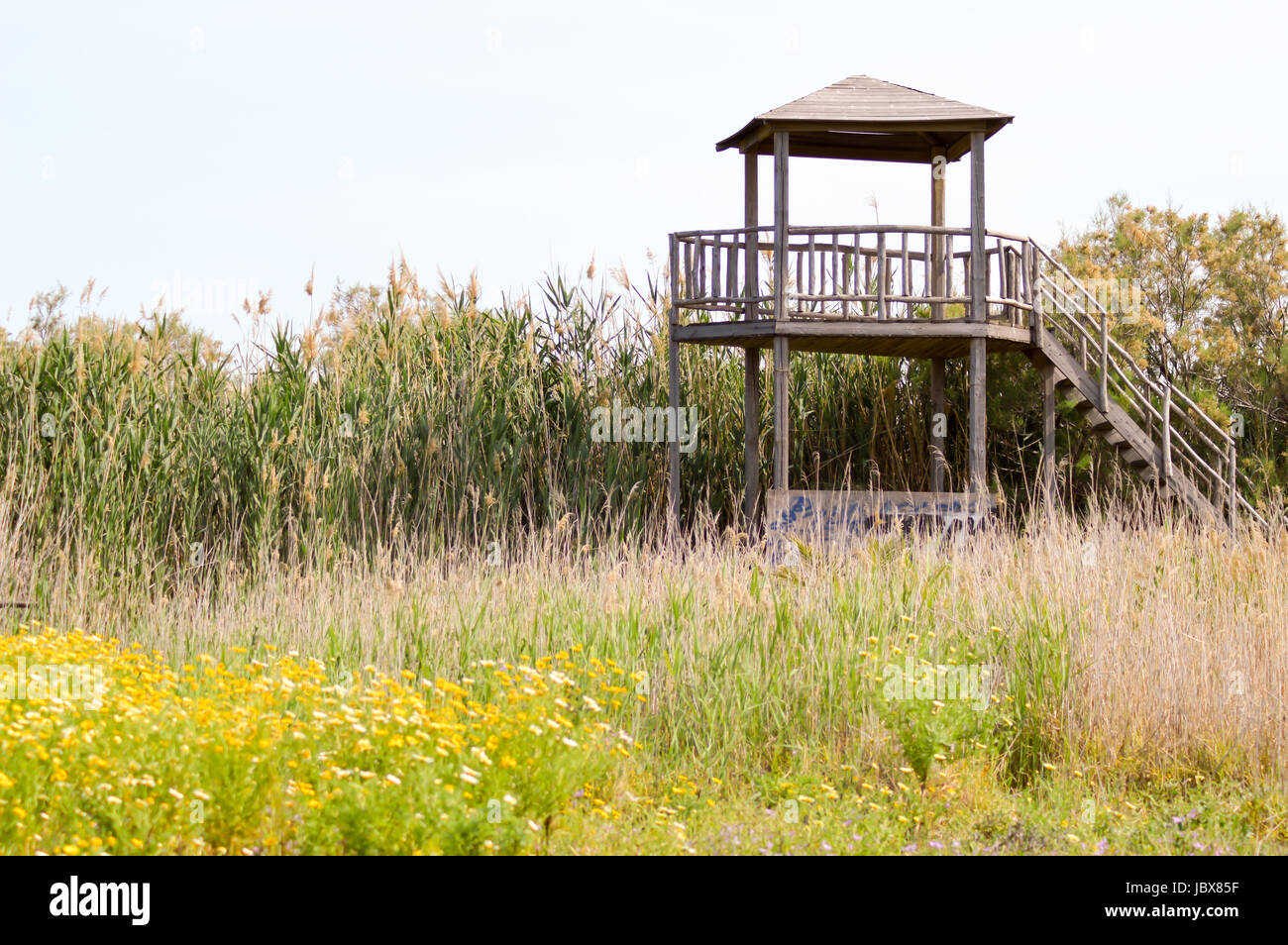 L'observatoire en bois à deux niveaux pour l'observation des oiseaux dans une zone marécageuse. Banque D'Images