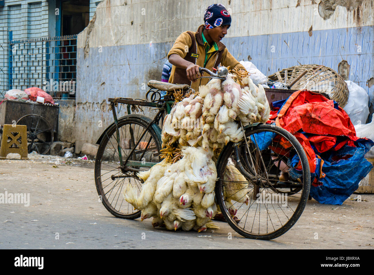 Le poulet sont liés ensemble et transportés en vélo dans le quartier nouveau marché Banque D'Images