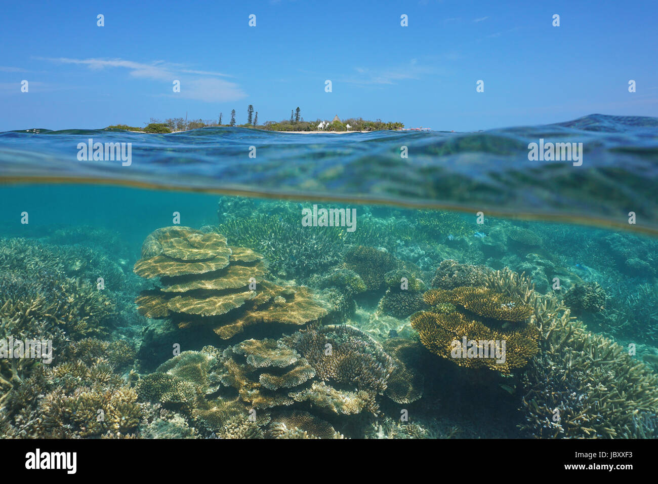 Plus de surface de la mer, en vertu de l'île et d'un Canard santé des récifs de corail sous l'eau, Nouvelle Calédonie, Nouméa, la Grande Terre, l'océan Pacifique sud Banque D'Images