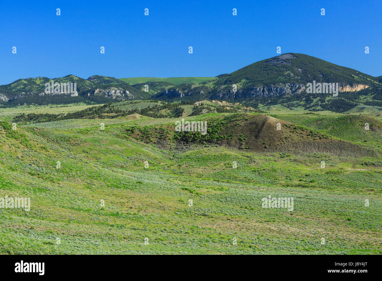 Peu de montagnes rocheuses au-dessus de la prairie près de zortman, Montana Banque D'Images