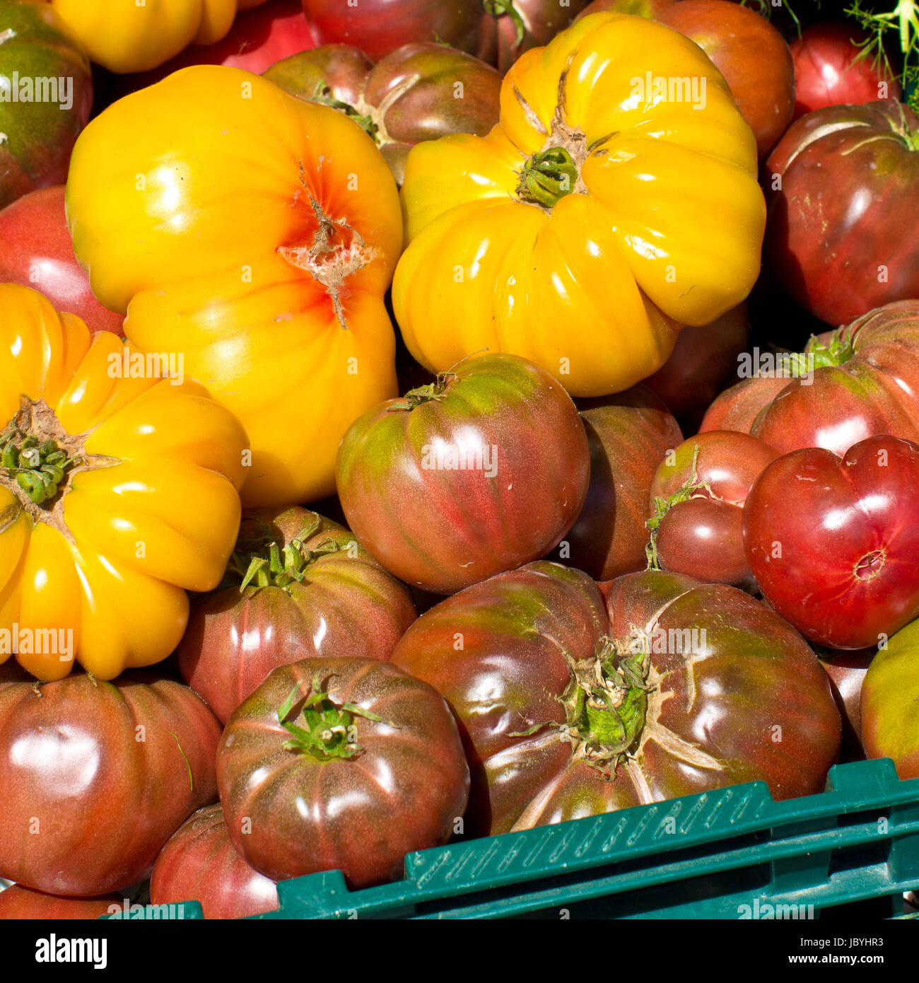 Bunten Tomaten dans gruener Kiste Banque D'Images