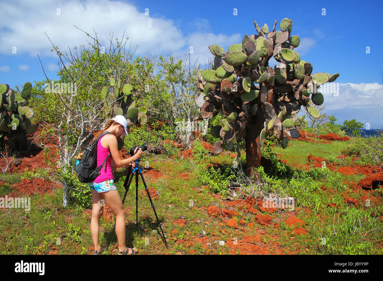 GalapagosWoman photographier le figuier de barbarie sur Ile Rabida dans Parc National des Galapagos, Equateur. Il est endémique aux îles Galapagos. Banque D'Images