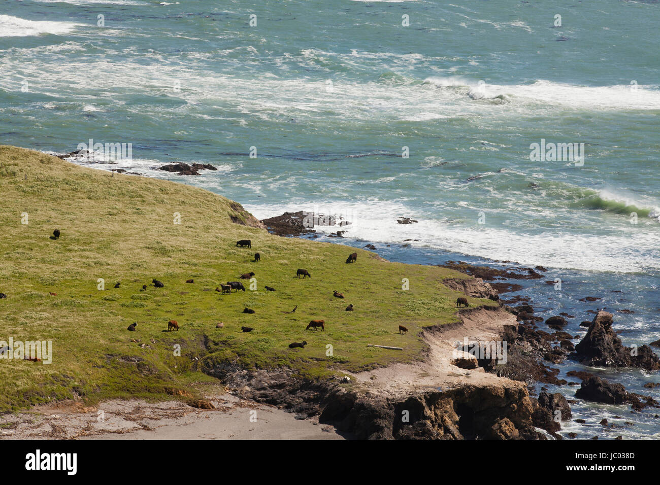 La côte centrale de Californie - San Luis Obispo County, California USA Banque D'Images