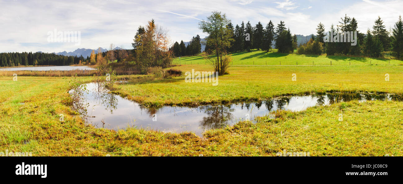 Paysage panoramique en Bavière avec lac et montagnes alpines Banque D'Images