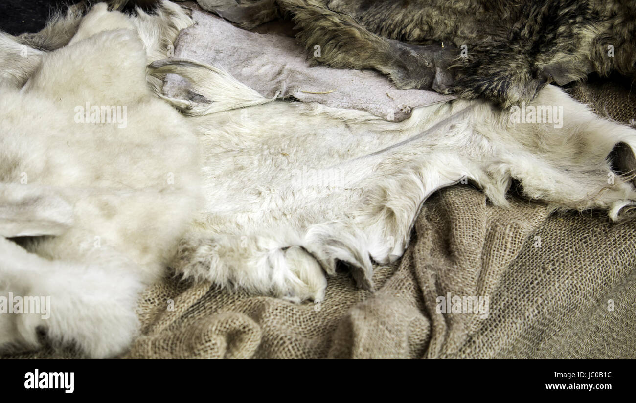 Tapis en peau de chèvre naturelle, des fourrures et des textures Banque D'Images